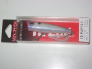 3 D POP(NPB).JPG