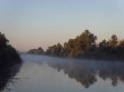 SDC14065.JPG
