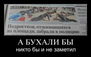 GPHzAlh43GA.jpg