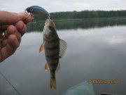 IMG_0361.JPG