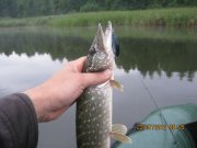 IMG_0362.JPG