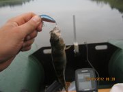 IMG_0363.JPG
