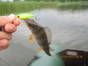 IMG_0365.JPG