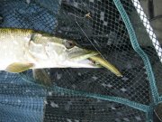IMG_0673.JPG
