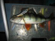 IMG_0674.JPG