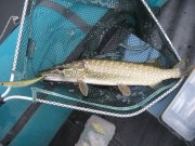 IMG_0675.JPG