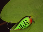 DSC04621.JPG