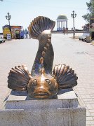 645982Zamor4.jpg