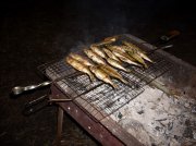 DSCN0515.jpg
