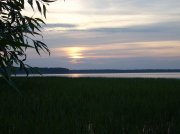 DSCN0528.jpg