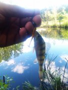 IMAG0523.jpg