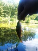 IMAG0520.jpg