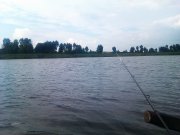 IMAG0514.jpg