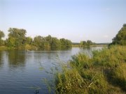 Фото0555.jpg