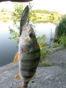 IMG_3095.JPG