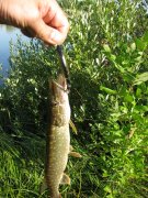 IMG_3097.JPG