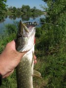 IMG_3103.JPG