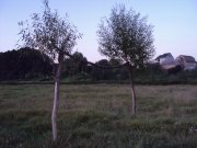 DSC04651.JPG