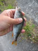 IMG_3106.JPG