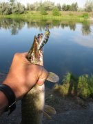 IMG_3107.JPG