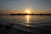 IMG_9590.jpg