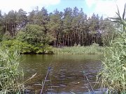 29062012364.jpg