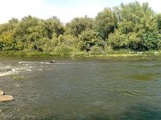 Фото0745.jpg