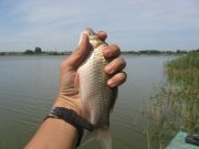 IMG_6937.JPG