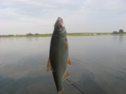 IMG_6922.JPG