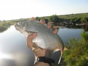 IMG_6847.JPG