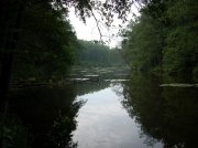 DSCN0617.jpg