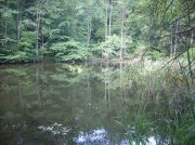 DSCN0619.jpg