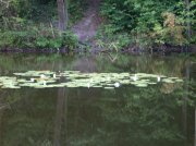 DSCN0618.jpg