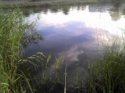 IMG_20120731_183841.jpg