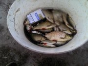 IMG_20120731_202427.jpg