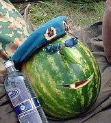 47031107_1249210232_7.jpg
