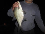 IMG_0998.JPG