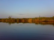 03082012784.jpg