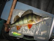 IMG_0698.JPG