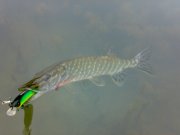 161020111305.jpg