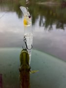 310720121898.jpg