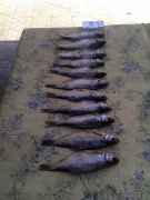 IMG_20120801_152101.jpg