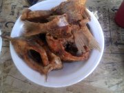 IMG_20120805_084315.jpg