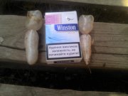 IMG_20120805_104842.jpg