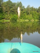 2-IMG_0067.JPG