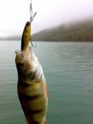 161020111313.jpg