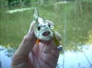 DSCN0644.jpg