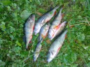 09082012220.jpg