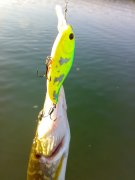 07082011975.jpg
