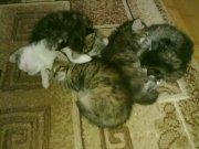 110820122495.jpg